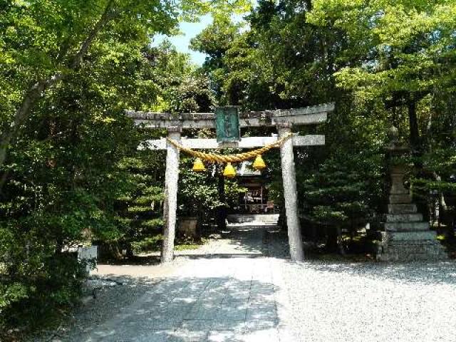 大野湊神社の参拝記録(たまりんさん)