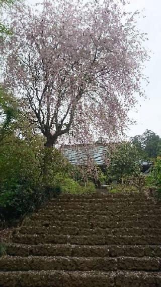 大中寺の参拝記録(zx14さん)