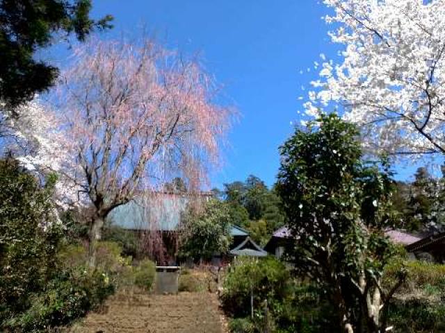 大中寺の参拝記録1