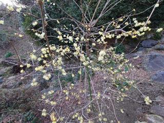 金滝山 清水寺の参拝記録(みーちさん)