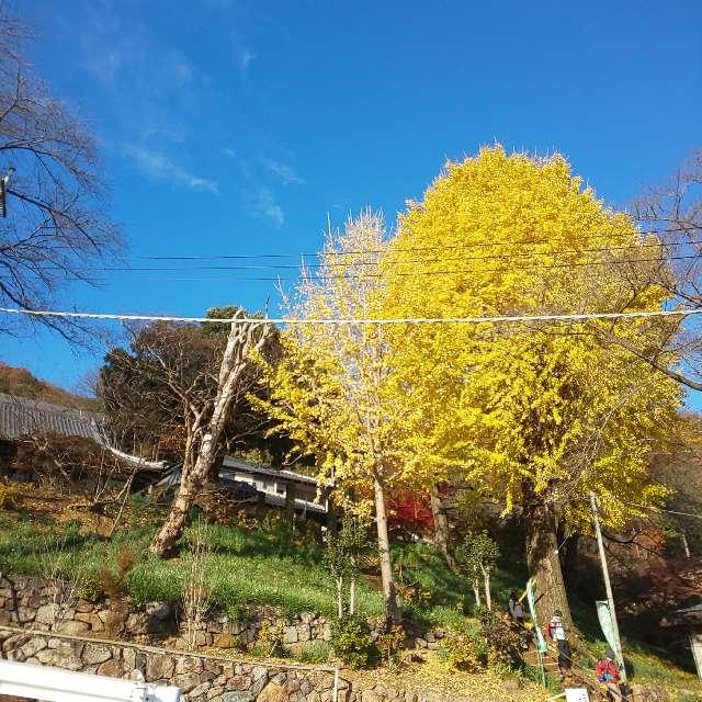 金滝山 清水寺の参拝記録7