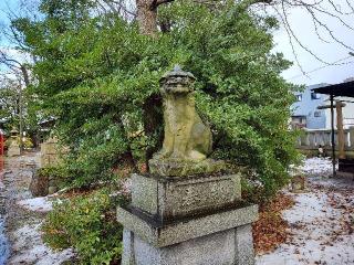 安江住吉神社の参拝記録(飛成さん)