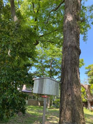 安江住吉神社の参拝記録(スエさん)