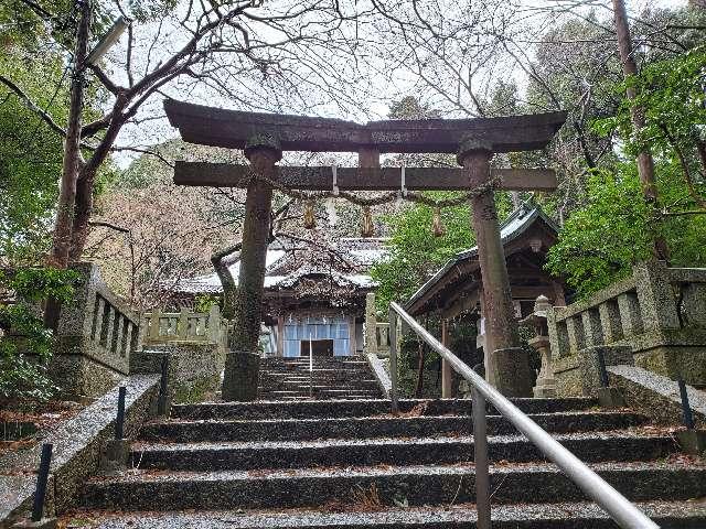 小坂神社の参拝記録(飛成さん)