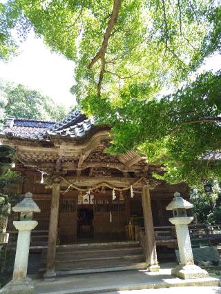 小坂神社の参拝記録(おかやんさん)