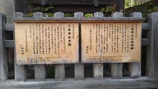 小坂神社の参拝記録(あひるさん)