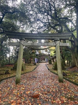 波自加彌神社の参拝記録(こうさん)