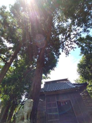 八幡神社の参拝記録(おかやんさん)