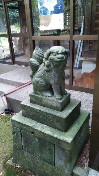 田井菅原神社の参拝記録(まゆちんさん)