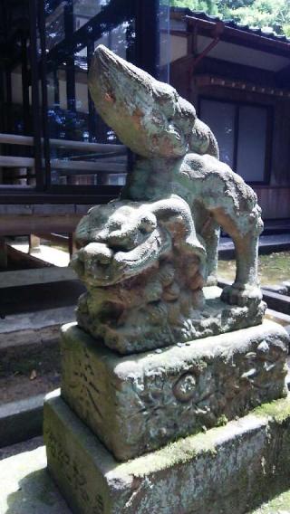 野間神社の参拝記録(まゆちんさん)