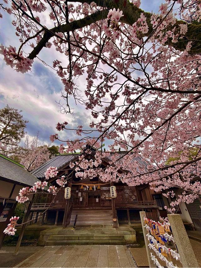 宇多須神社の参拝記録7