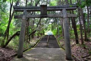 早尾神社の参拝記録(はなbさん)