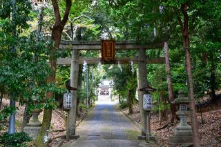 新宮神社（石山寺新宮神社）の参拝記録8