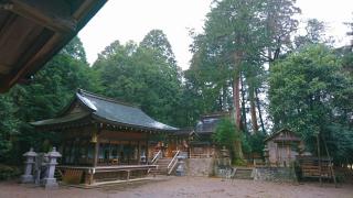 神山神社の参拝記録(はなbさん)