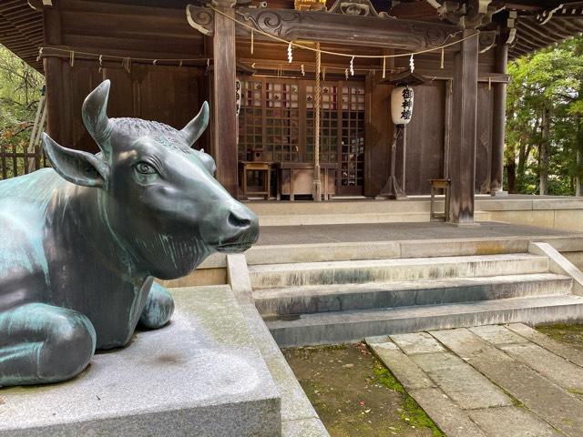江沼神社の参拝記録8