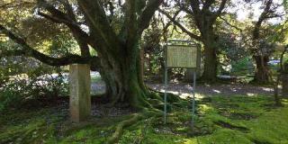 江沼神社の参拝記録(優雅さん)