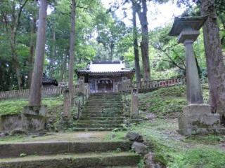 長谷部神社の参拝記録(わくたまくんさん)