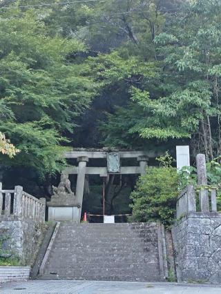 長谷部神社の参拝記録(おかやんさん)