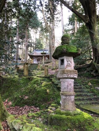 長谷部神社の参拝記録(donadonさん)