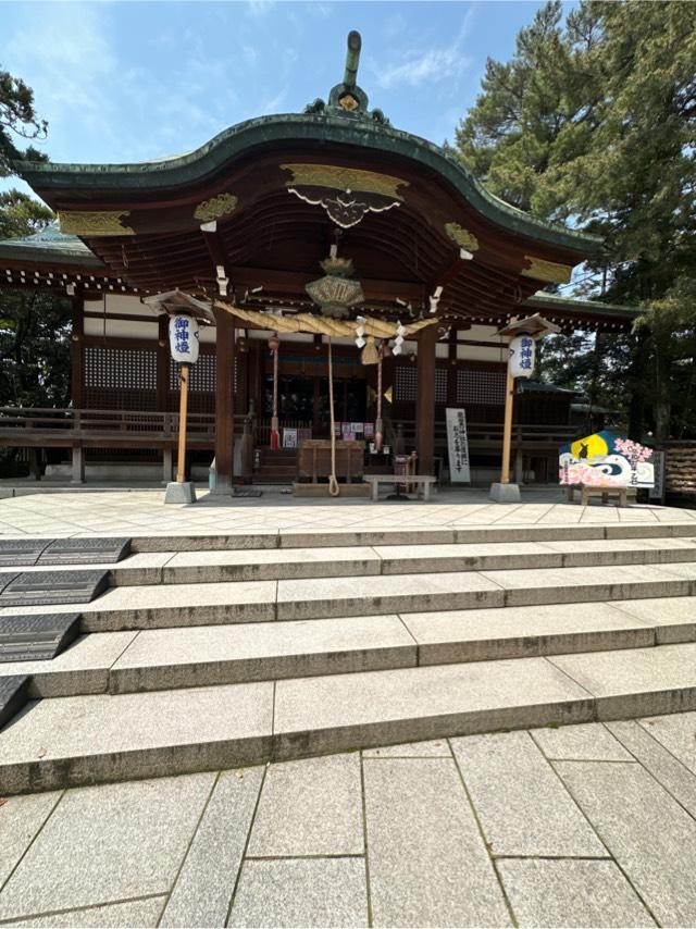 菟橋神社の参拝記録8