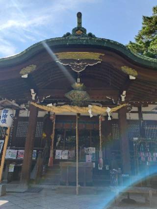 菟橋神社の参拝記録(ヨッシーさん)