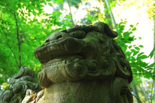 白山神社の参拝記録(みっちゃんさん)