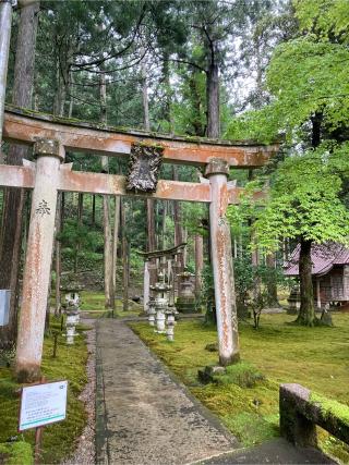 日用神社の参拝記録(恭子さん)