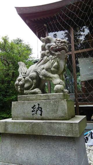 須天熊野神社の参拝記録(まゆちんさん)