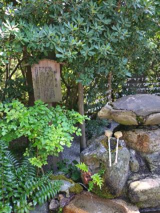 安宅住吉神社の参拝記録(ヨッシーさん)