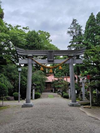 若宮八幡宮の参拝記録(おかやんさん)