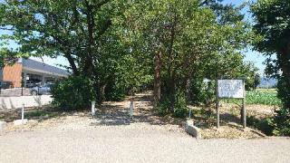 本村井神社の参拝記録(わくたまくんさん)