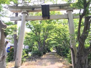 本村井神社の参拝記録(じゃすてぃさん)