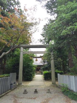 本村井神社の参拝記録(おかやんさん)