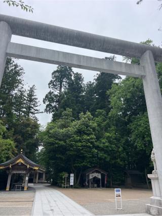 白山比咩神社(加賀一宮 しらやまさん)の参拝記録(⛩️🐍🐢まめ🐢🐍⛩️さん)