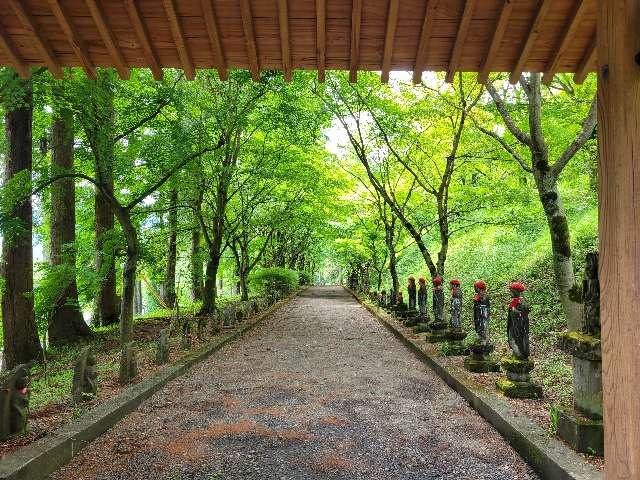 栃木県佐野市仙波463 清瀧山 金藏院 聖法寺の写真2