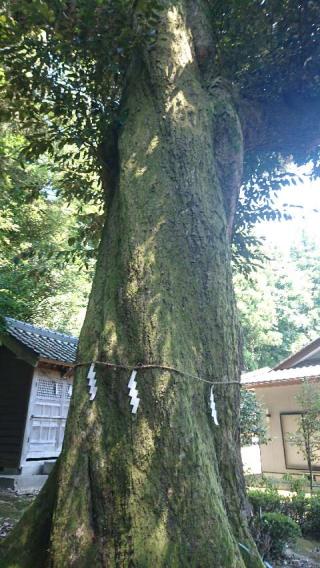 散田天神社の参拝記録(わくたまくんさん)