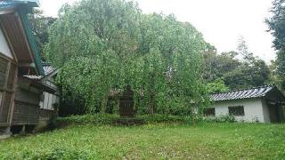藤懸神社の参拝記録(わくたまくんさん)