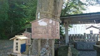 少比古那神社の参拝記録(わくたまくんさん)