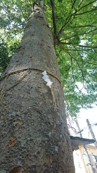 少比古那神社の参拝記録(わくたまくんさん)