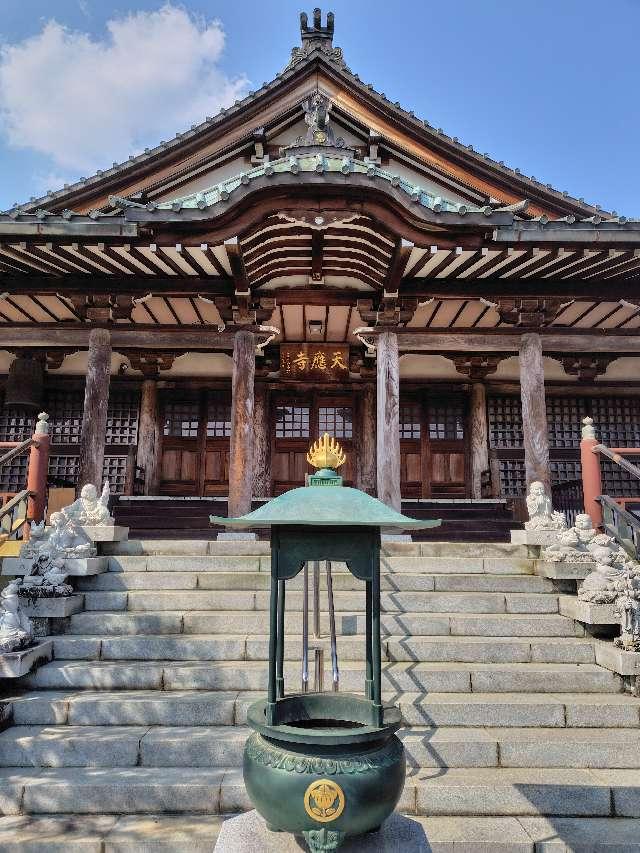 栃木県佐野市堀米町754 瑞龍山 天應寺の写真2