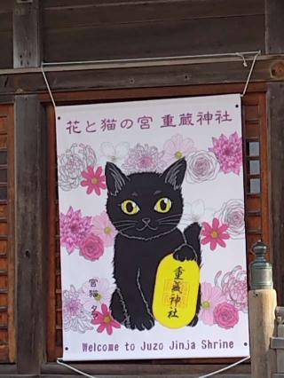 重蔵神社の参拝記録(おかやんさん)