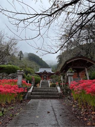 瑠璃光山 常楽寺(録事尊)の参拝記録(ほーリンさん)