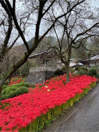 瑠璃光山 常楽寺(録事尊)の参拝記録(ほーリンさん)