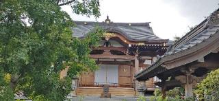 龍蟠寺の参拝記録(さるさん)