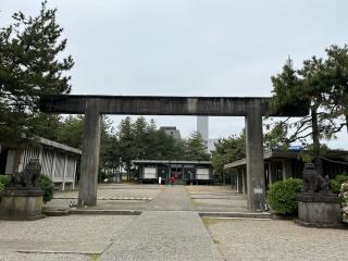 福井神社の参拝記録(まきちゃんさん)