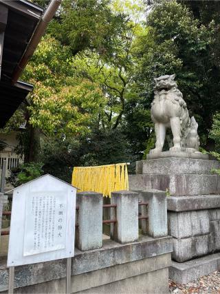 福井県護国神社の参拝記録(まきちゃんさん)