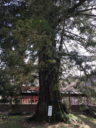 東高野山弥勒院 医王寺の参拝記録(きーちゃんさん)