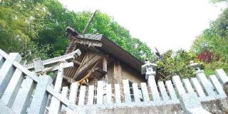 金刀比羅神社の参拝記録(優雅さん)