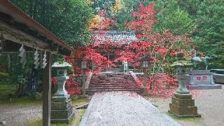 柴神社の参拝記録(あひるさん)