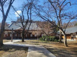 祇園山 萬年寺 天翁院の参拝記録(まっきーさん)